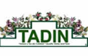 client Tadin