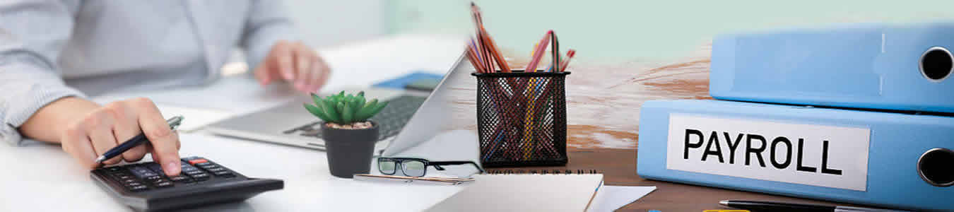 Payroll Services & Tax Processing California
